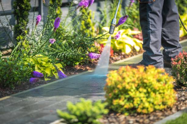 Best Dumpster Area Cleaning  in Santa Ynez, CA